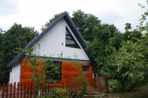 Forest house